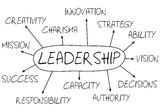 Strategy leadership